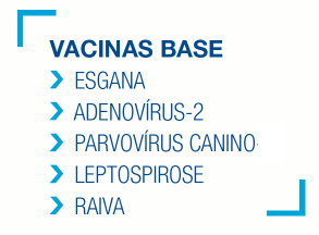 Virus