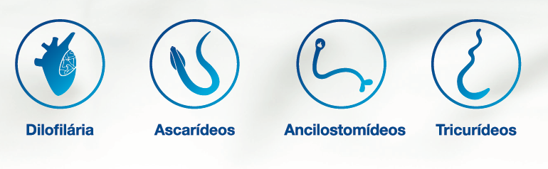 Parasitas Internos