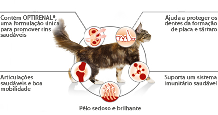 Ilustração Pro Plan Original Adult Frango Alimento Seco Gato