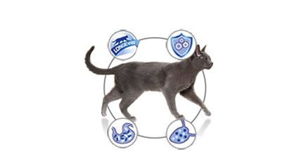 Benefícios de Pro Plan Adult 7+ Alimento Seco Gato